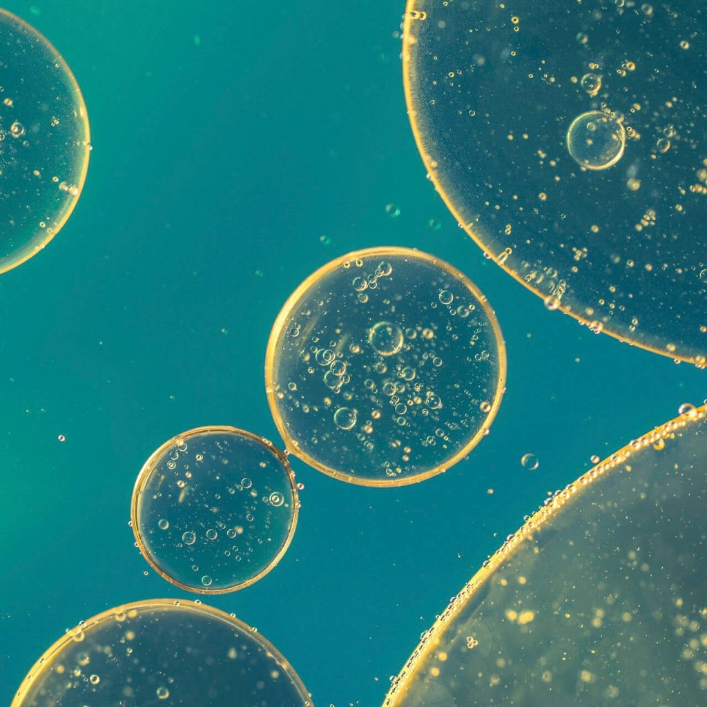 Photo microscopique de petites cellules